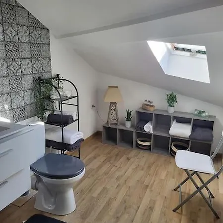 Au Coeur Du Val D'argent Duplex Atypique A Apartment Sainte-Marie-aux-Mines